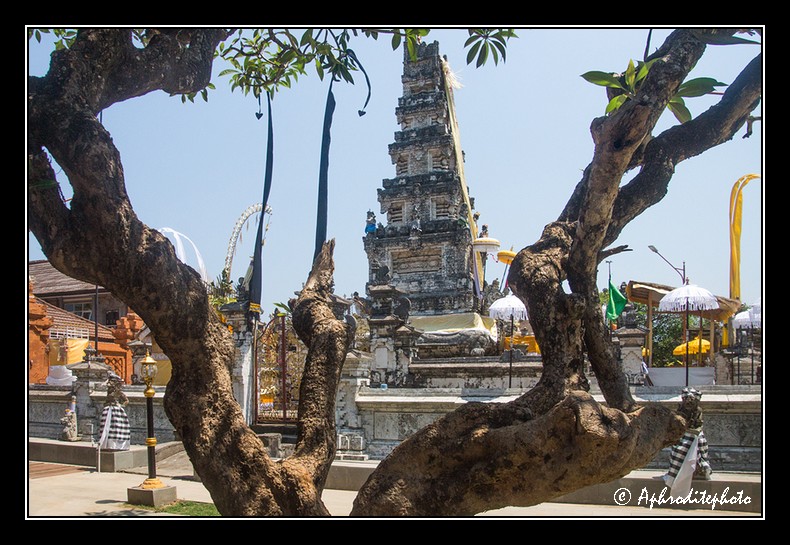 Temples of Bali 39